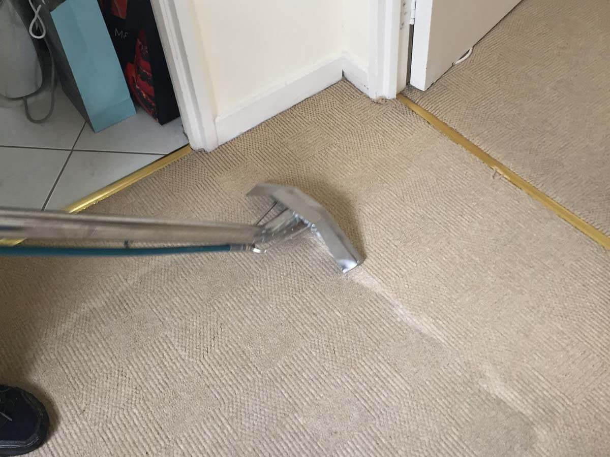 Carpet cleaning in Rathfarnham